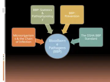 Slide 3: Bloodborn e Pathogens (BBP)