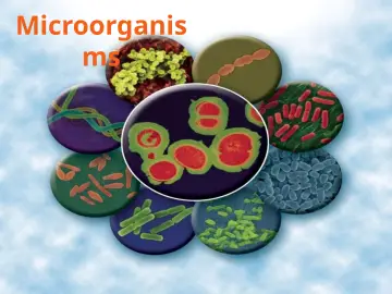 Slide 4: Microorganis ms