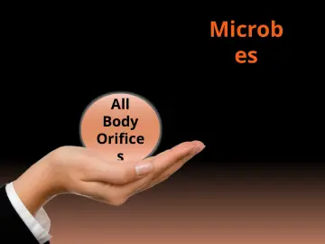 Slide 12: Microb es