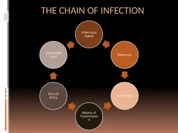 Slide 18: THE CHAIN OF INFECTION