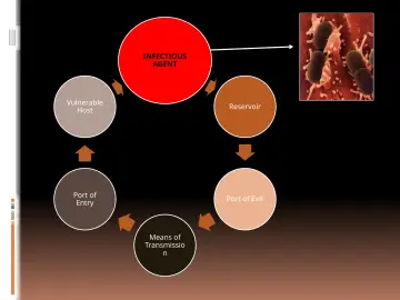 Slide 19: INFECTIOUS