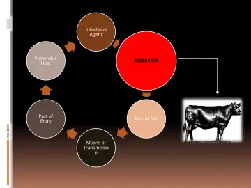 Slide 20: Infectious