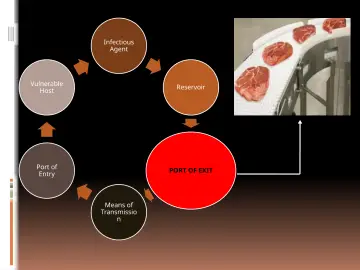 Slide 21: Infectious