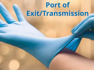 Slide 30: Port of Exit/Transmission