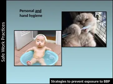 Slide 19: Safe Work Practices
