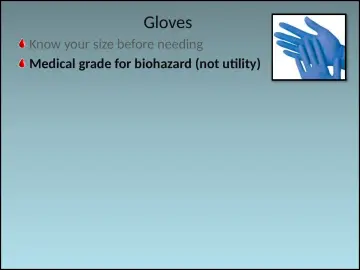 Slide 66: Gloves