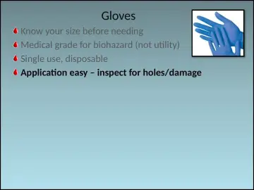 Slide 68: Gloves