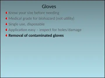 Slide 69: Gloves