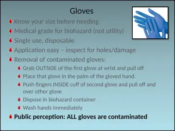 Slide 71: Gloves