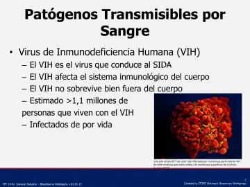 Slide 7: Patógenos Transmisibles por Sangre