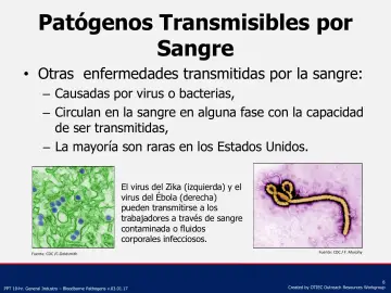 Slide 8: Patógenos Transmisibles por Sangre