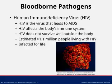 Slide 7: Bloodborne Pathogens