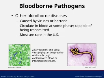 Slide 8: Bloodborne Pathogens