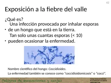 Slide 62: Exposición a la fiebre del valle