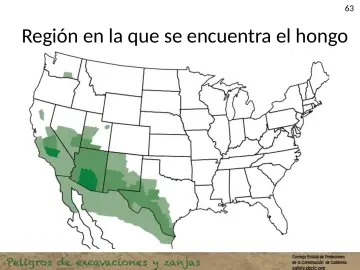 Slide 63: Región en la que se encuentra el hongo