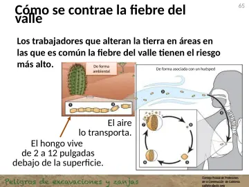 Slide 65: Cómo se contrae la fiebre del valle