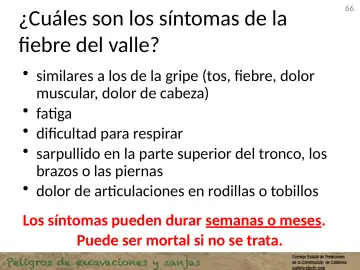 Slide 66: ¿Cuáles son los síntomas de la fiebre del valle?