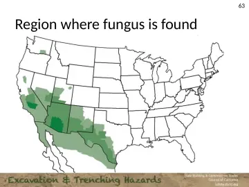Slide 63: Region where fungus is found