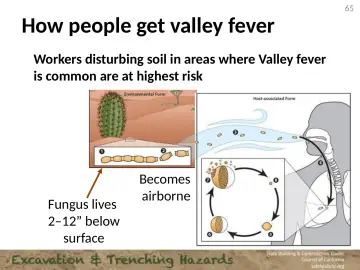 Slide 65: How people get valley fever
