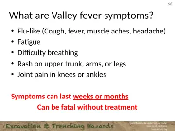 Slide 66: What are Valley fever symptoms?