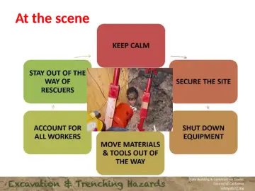 Slide 114: At the scene