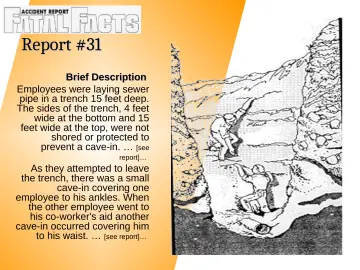 Slide 6: Report #31