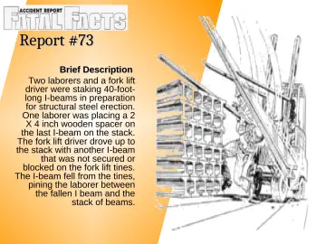 Slide 10: Report #73