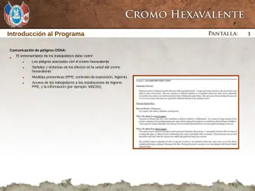 Slide 3: Introducción al Programa