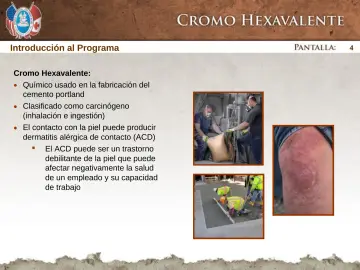 Slide 4: Introducción al Programa