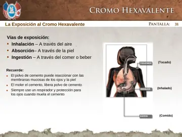 Slide 31: Inhalación – A través del aire