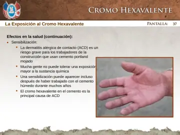 Slide 37: La Exposición al Cromo Hexavalente