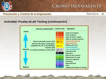 Slide 81: Actividad: Prueba de pH Testing (continuación)