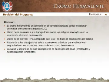Slide 96: Revisión del Programa