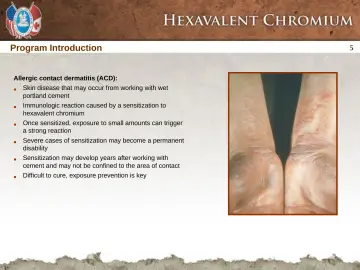 Slide 5: Program Introduction