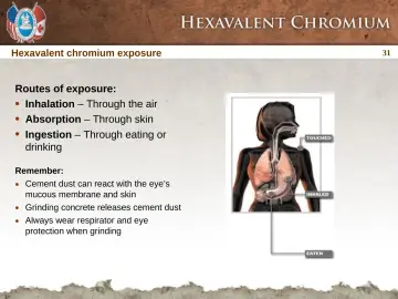 Slide 31: Inhalation – Through the air
