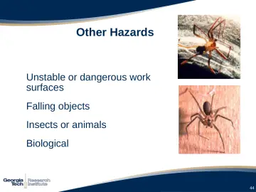 Slide 44: Other Hazards