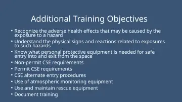 Slide 7: Additional Training Objectives