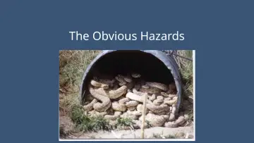Slide 31: The Obvious Hazards