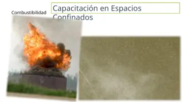Slide 15: Combustibilidad