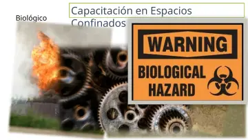 Slide 18: Biológico
