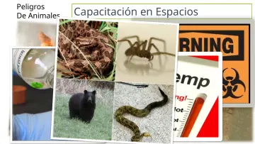 Slide 21: Capacitación en Espacios Confinados