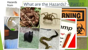 Slide 21: Hazards from Animals