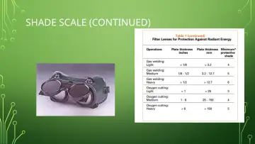 Slide 21: SHADE SCALE (CONTINUED)