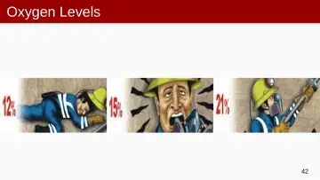 Slide 42: Oxygen Levels