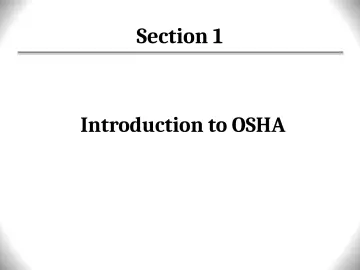 Slide 11: Section 1