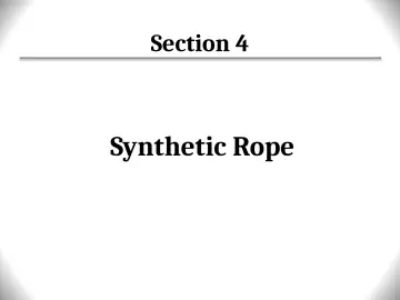 Slide 46: Section 4