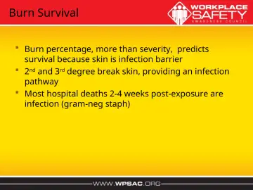 Slide 28: Burn Survival