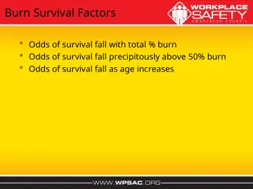 Slide 29: Burn Survival Factors