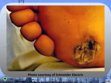 Slide 32: Photo courtesy of Schneider Electric