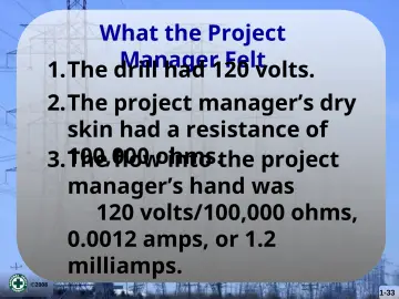 Slide 33: What the Project